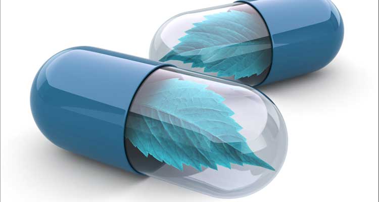 Formation Développer l'expertise en produits de santé naturels, Partie 4