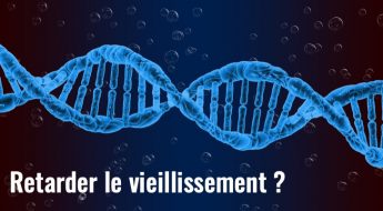 Télomères