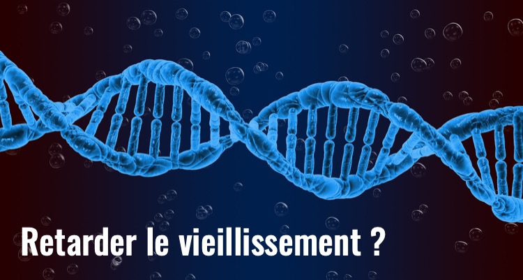 Télomères