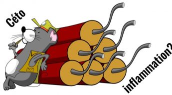 Cétogène: dangereusement inflammatoire?